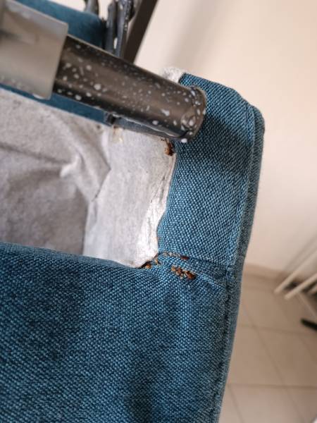 punaises de lit 13003