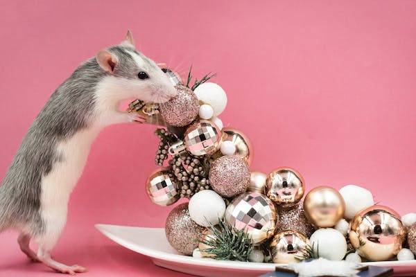 désourification 13009