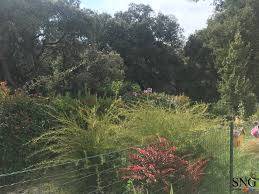 nids de frelons 13011