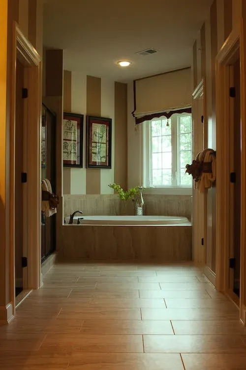 poisson d'argent 13008