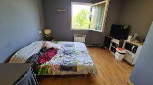 traitement chimique  punaises de lit 