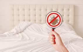 FAIRE UN TRAITEMENT A LA VAPEUR CONTRE LES PUNAISES DE LIT DANS VOTRE APPARTEMENT DANS LE SEPTIEME ARRONDISSEMENT A MARSEILLE